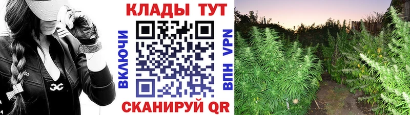 Купить наркотики цена Кыштым COCAIN  Меф  ГАШ  Лсд 25  МАРИХУАНА 