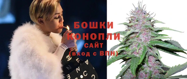 бутират Белокуриха