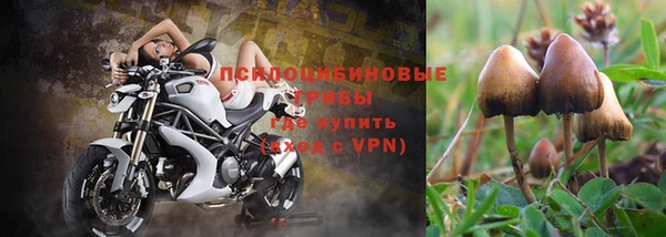 твердый Белоозёрский